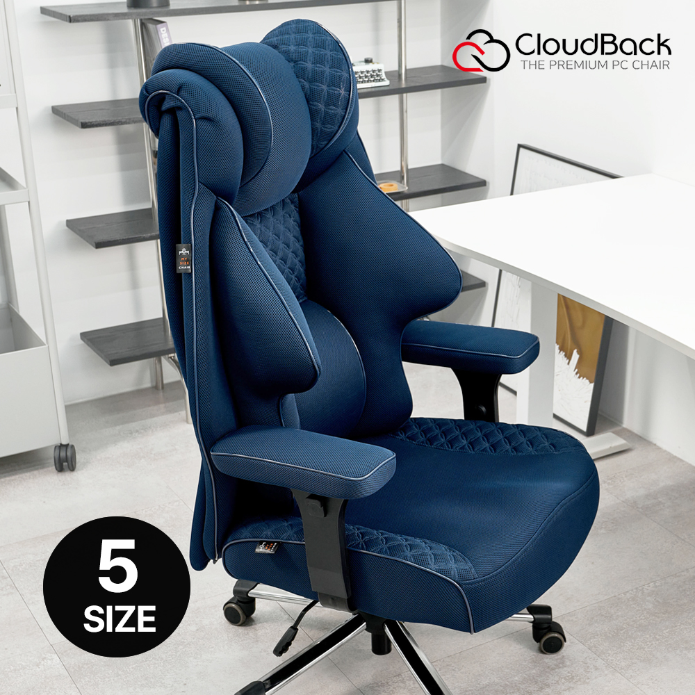 클라우드백 마이사이즈체어 컴퓨터의자 사무용 사무실 학생 리클라이너 책상 의자 M900MQ 제품 이미지