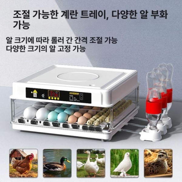 프리미엄 지능형 자동 부화기 앵무새 병아리 거위 인큐베이터 6개 단전 6개 자동 단전 - 상세 이미지 4