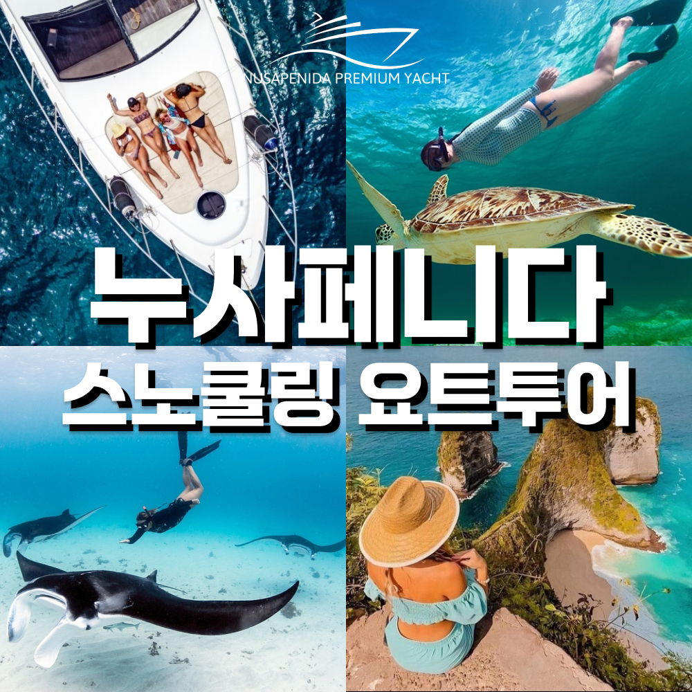 발리 누사페니다 투어 프리미엄 요트 스노쿨링 일일 데이 투어 만타 가오리 바다거북 - 상품 이미지