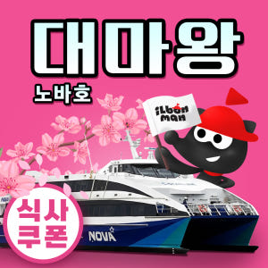 부산 일본 대마도 배편 노바호 예약 왕복승선권 당일치기 히타카츠 이즈하라... 솔직 후기 | 실사용자 리뷰 분석 - 상품 이미지 1