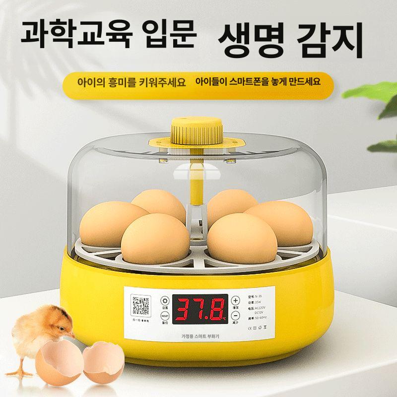 자동 병아리 부화기 닭 조류 알 새 계란 달걀 병아리부화기 메추리 유정란 - 상세 이미지 2
