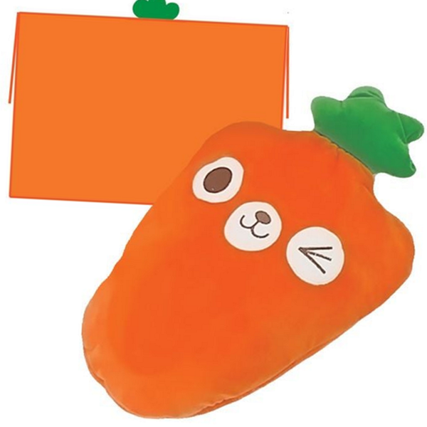 휴대용 당근 블랭킷 수납형 파우치형 블랭킷 담요 겨울 - 상품 이미지