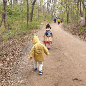 [깨비의숲마을][전주 오송제생태공원] 전북 전주 숲체험 어린이 봄 유아 ... 솔직 후기 | 실사용자 리뷰 분석 - 상품 이미지 4