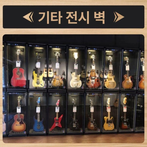 프리미엄 기타보관함 곰팡이 온도 제습 방습 첼로 어쿠스틱 C01 단독 C01 단독 제습 130L - 상세 이미지 4