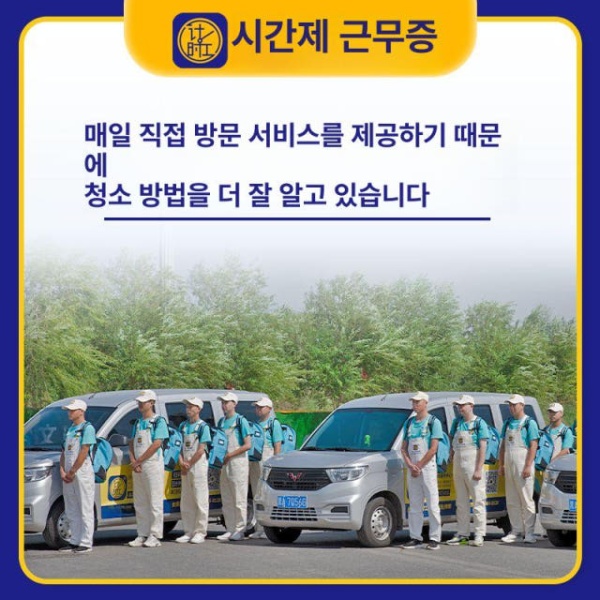 프리미엄 주방 가정용 기름때 얼룩 청소 세척제 세탁 미라클 자몽 변기 5개 묶음 3개 묶음 - 상세 이미지 5