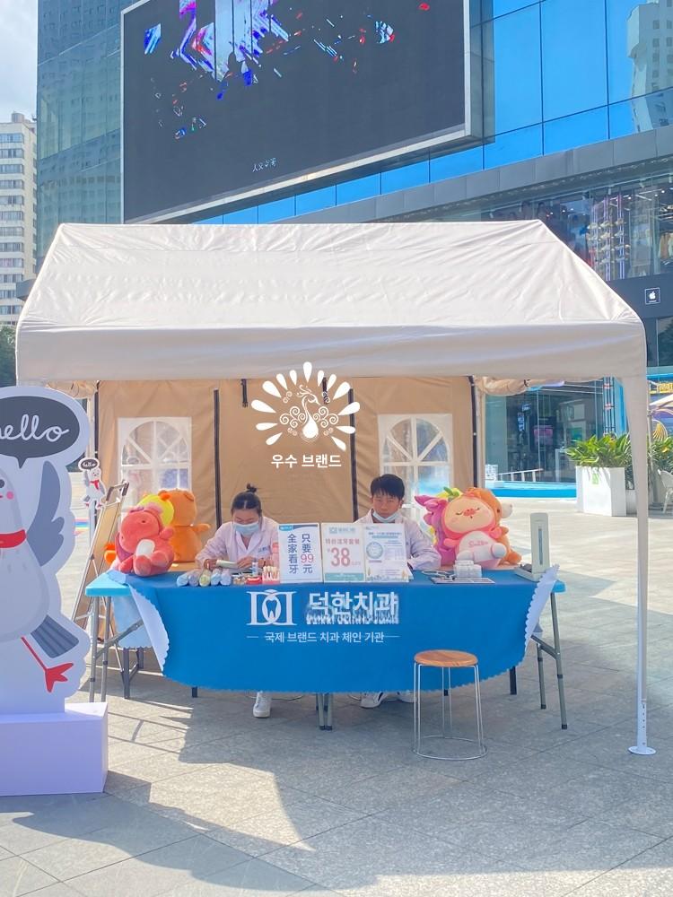차고지텐트 개인차고 캐노피 텐트 천막 차양막 차고지 대형 야외 이동식 간이천막 비막이 - 상세 이미지 4