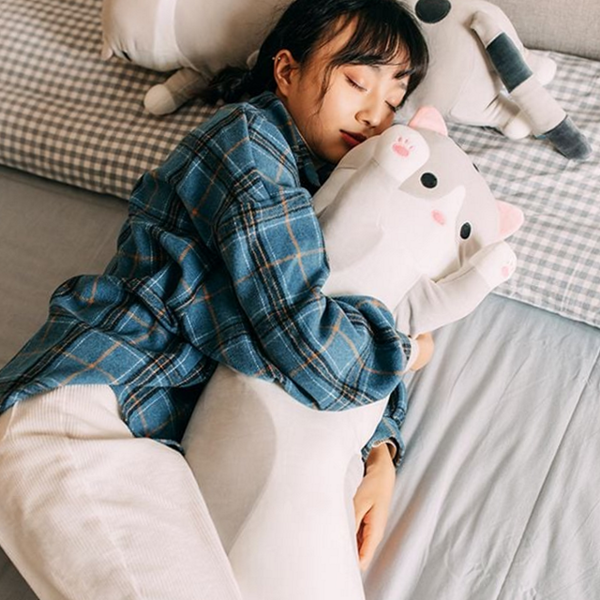 부드러운 귀여운 바디 필로우 안고자는 모찌 바디 필로우 고양이 푹신한 - 상품 이미지