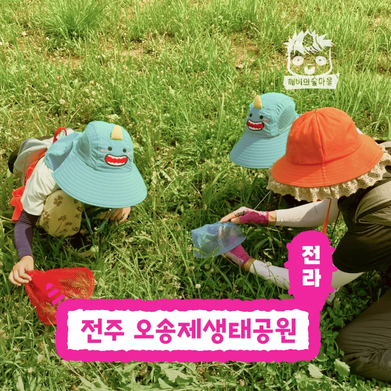 [깨비의숲마을][전주 오송제생태공원] 전북 전주 숲체험 어린이 봄 유아 ... 솔직 후기 | 실사용자 리뷰 분석 - 대표 이미지