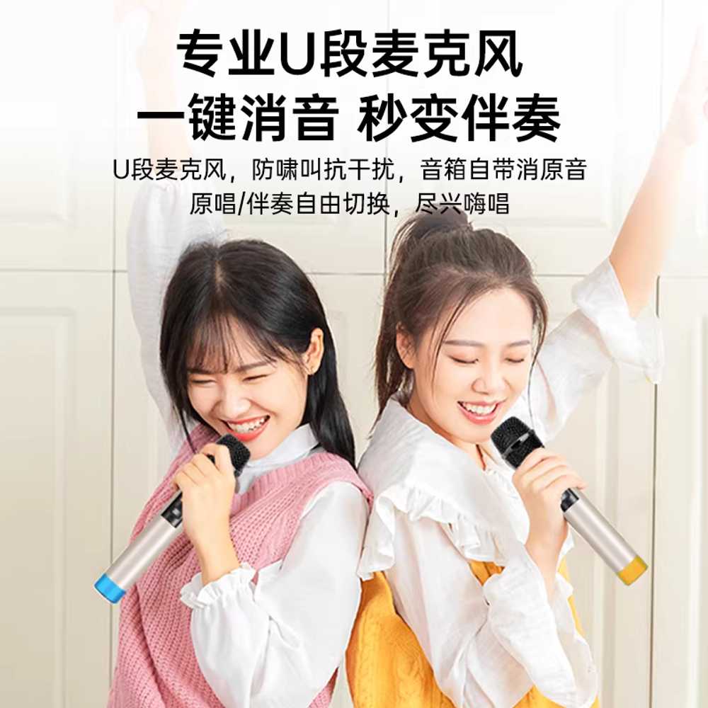 야외 앰프 버스킹 스피커 매장 방송 웨딩홀 이동식 500W 마이크1개 - 상세 이미지 4