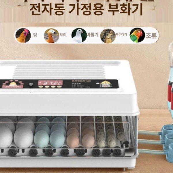 프리미엄 지능형 자동 부화기 앵무새 병아리 거위 인큐베이터 6개 단전 6개 자동 단전 - 상세 이미지 5