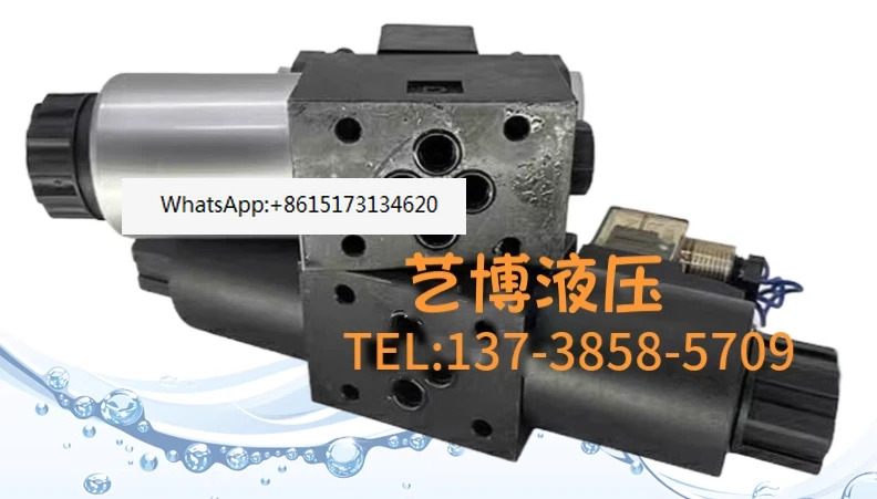 솔레노이드 밸브 DSG-02-2B2/60B 3C2 3C4 3C60-DL-DC24/AC220 DG4V-3