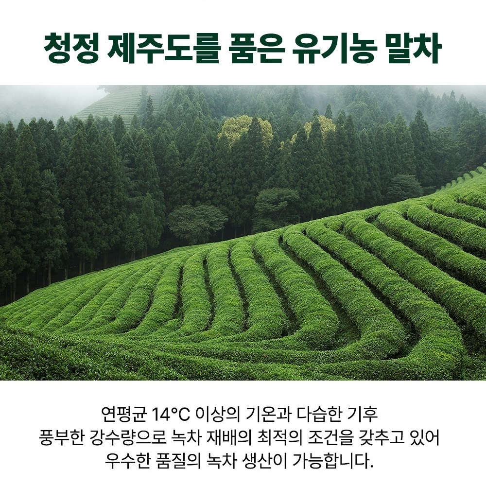 헬씨허그 프리미엄 제주 유기농 말차 그린브레스 카테킨 테아닌 정제 60정, 3개 - 상세 이미지 4