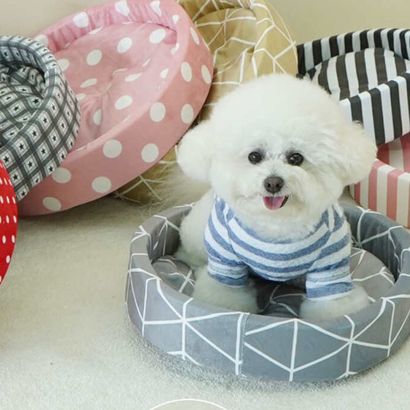 반려견방석 강아지도넛방석 고양이 기절방석 S - 메인 이미지