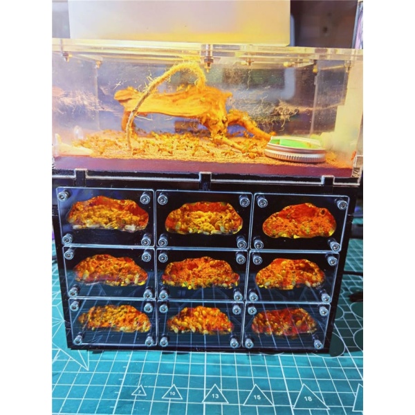 프리미엄 개미 사육통 투명 생태 둥지 키우기 하늘성 D판 1개 19-18-10cm 하늘성 D판 둥지 1개 19-18-10c - 상품 이미지