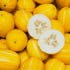 [농할쿠폰] 성주 꿀 참외 가정용 못난이 프리미엄 참외 2kg 맛있게 먹은 솔직 후기 썸네일