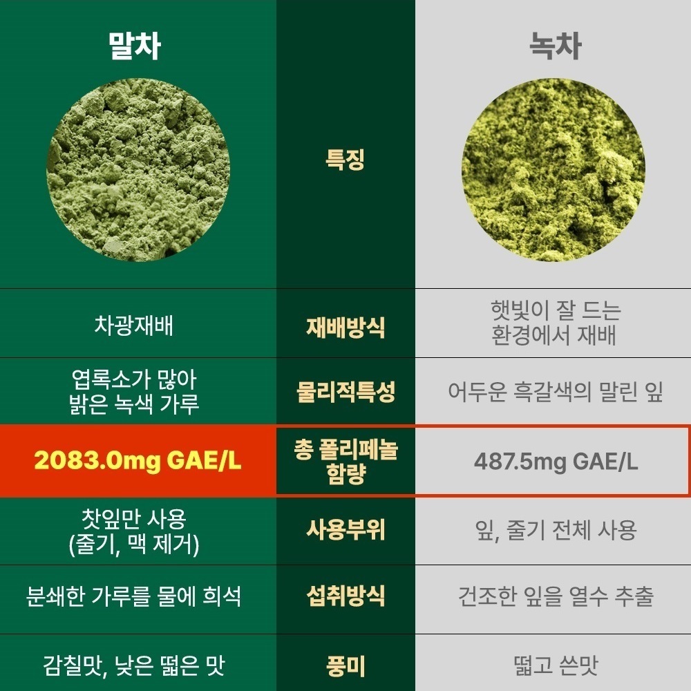 헬씨허그 프리미엄 제주 유기농 말차 그린브레스 카테킨 테아닌 정제 60정, 3개 이미지 6