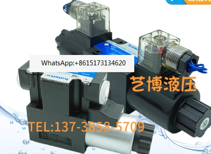 솔레노이드 밸브 DSG-02-2B2/60B 3C2 3C4 3C60-DL-DC24/AC220 DG4V-3