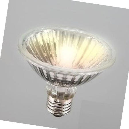 필립스 파츠 SST FL 전구색 필립스 PAR30 75W 230V E27