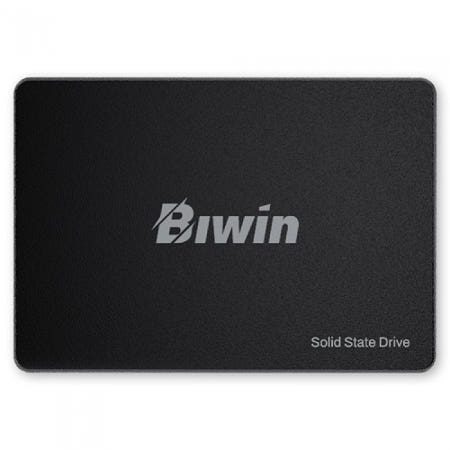 BIWIN M100 QLC (256GB)