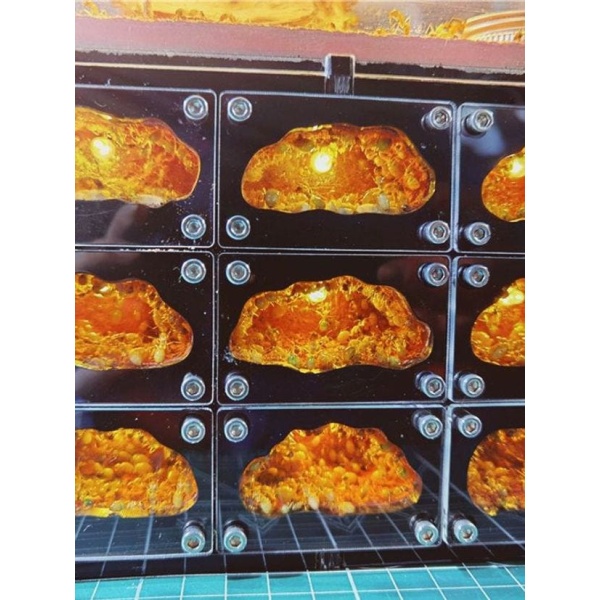 프리미엄 개미 사육통 투명 생태 둥지 키우기 하늘성 D판 1개 19-18-10cm 하늘성 D판 둥지 1개 19-18-10c - 상세 이미지 3