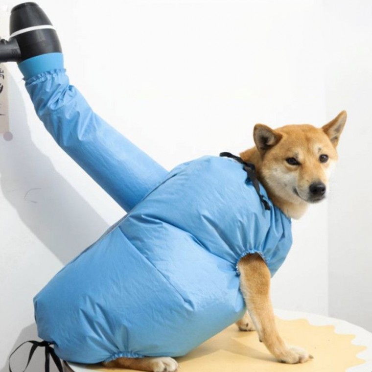 펫드라이 펫 드라이 건조복 OSM-1005834 - 상품 이미지