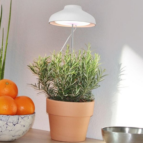 탁상 led 식물 등 조명 식물 성장 등 생장 재배