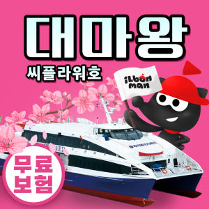 구매즉시확정 부산 일본 대마도 배편 씨플라워호 당일치기 예약 히타카츠 대... 솔직 후기 | 실사용자 리뷰 분석 - 상품 이미지 1