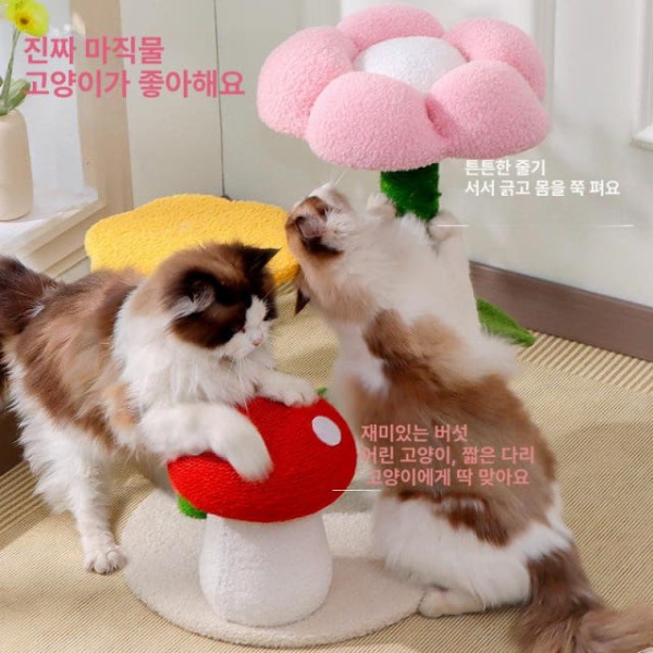 프리미엄 캣타워 캣폴 고양이 스탠드 원목캣타워 소형캣타워 3511 3511 고양이 스탠드 꽃버섯 시리즈 - 상세 이미지 4