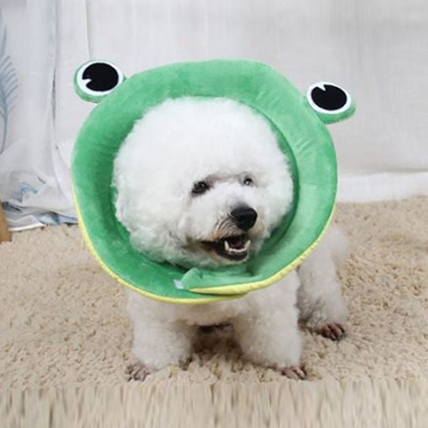 푹신한 반려동물 넥 카라 소프트 강아지 넥 카라 개구리 고양이