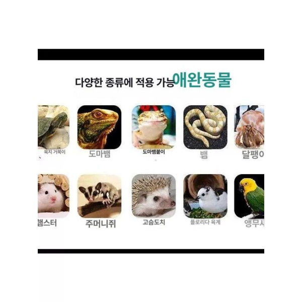프리미엄 비어디드래곤사육장 육지거북 테라리움 게코 파충류 40x30X30 표준형 맞춤 사이즈 - 상세 이미지 3