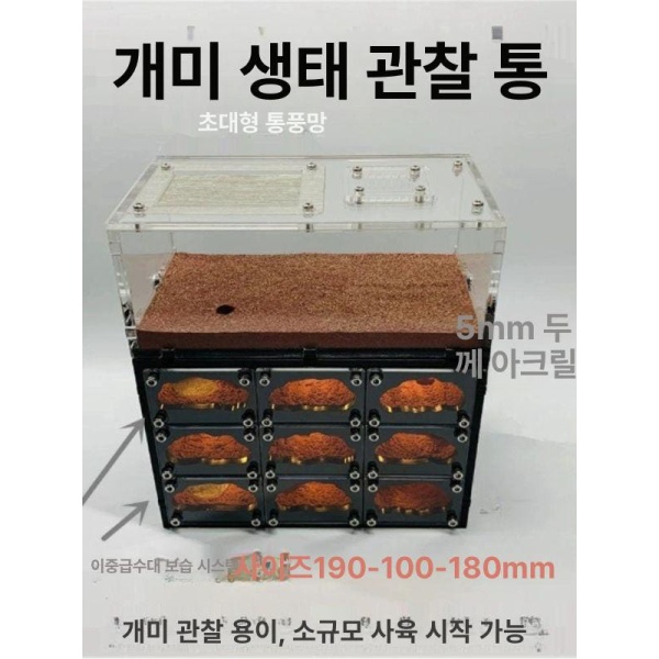 프리미엄 개미 사육통 투명 생태 둥지 키우기 하늘성 D판 1개 19-18-10cm 하늘성 D판 둥지 1개 19-18-10c - 상세 이미지 2