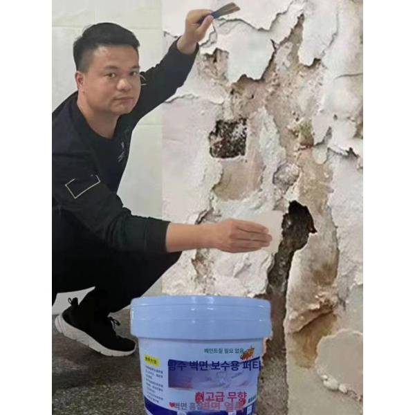 프리미엄 친환경 방수 곰팡이방지 라텍스 실내 벽 페인트 0.5kg 세트 0.5kg 세트 - 상품 이미지
