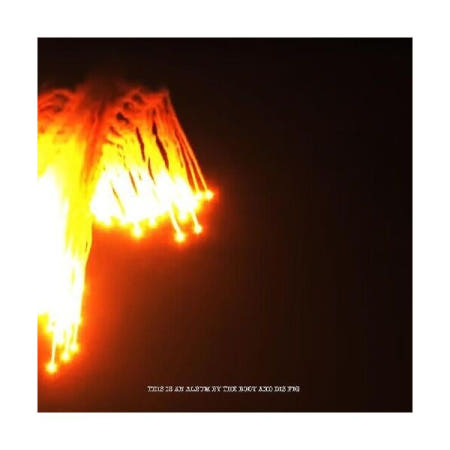 UnKnown [해외](수입 LP) Orchards of a Futile Heaven by Body & Dis Fig (Record 2024)