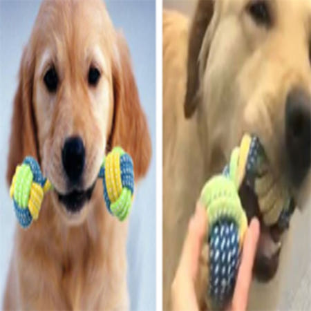 이모네 애견 물기놀이 장난감 뼈모양끈 토이 강아지분리불안장난감