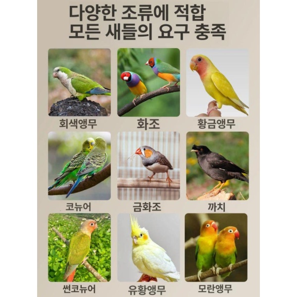프리미엄 대형 새장 앵무새 케이지 방수 먹이 간식 세트 장난감 소형 우리 화이트 소형 우리-화이트 - 상세 이미지 5