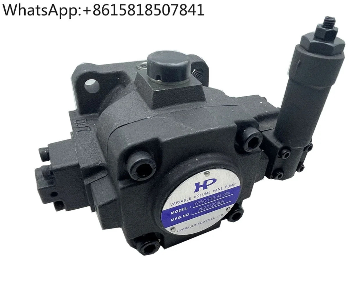 유압 오일 펌프 HVPVC-F40-A5-02/F30-A4/A1/A3/A2/-02 베펌프