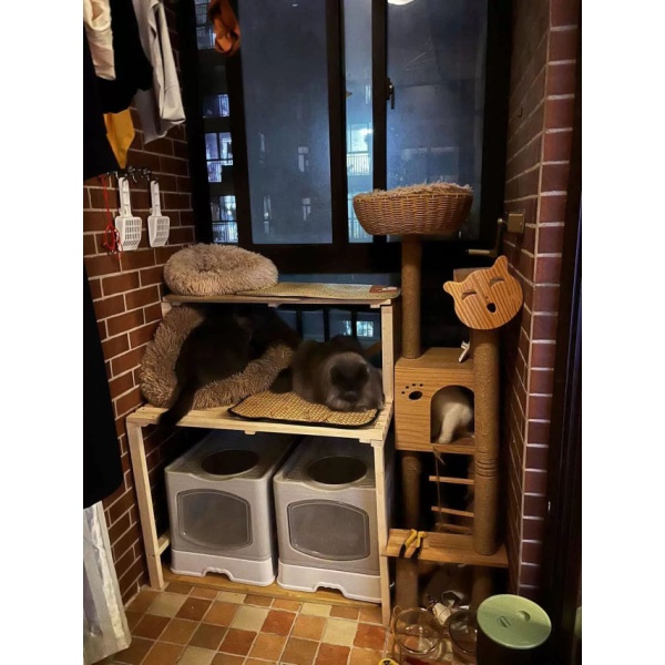 모던 고양이화장실 다이 선반 가구 캐비닛 세로 60cmx50cmx60cm 60cmx50cmx60cm - 상세 이미지 2
