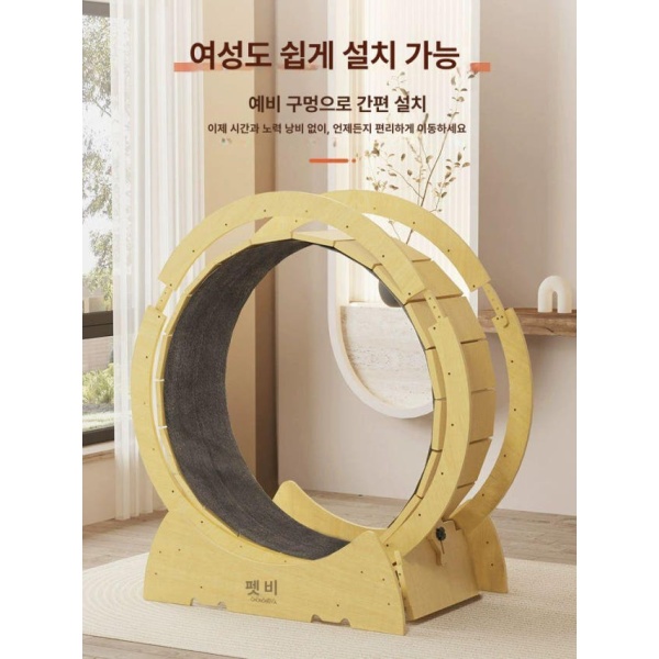 프리미엄 고양이 러닝머신 헬스기구 피트니스 운동기구 저소음 조용한 실내용 XS-친환경 가구판 2.5kg 이하 XS-친환경 가구판 2.5kg 이하 - 상세 이미지 5