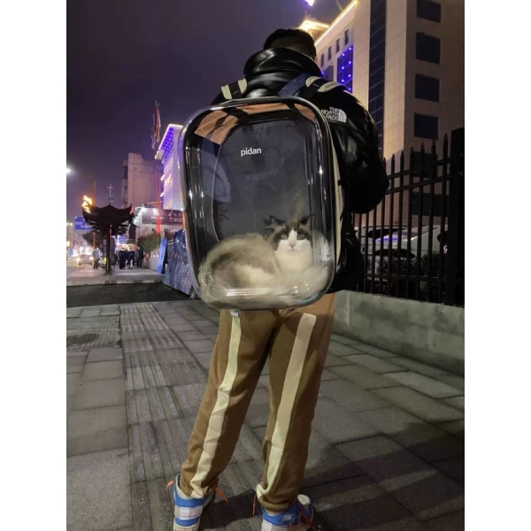 프리미엄 고양이 배낭 여행 애견 캡슐 휴대용 메쉬 기내용 정품 재고 정품 재고 대형 - 상품 이미지