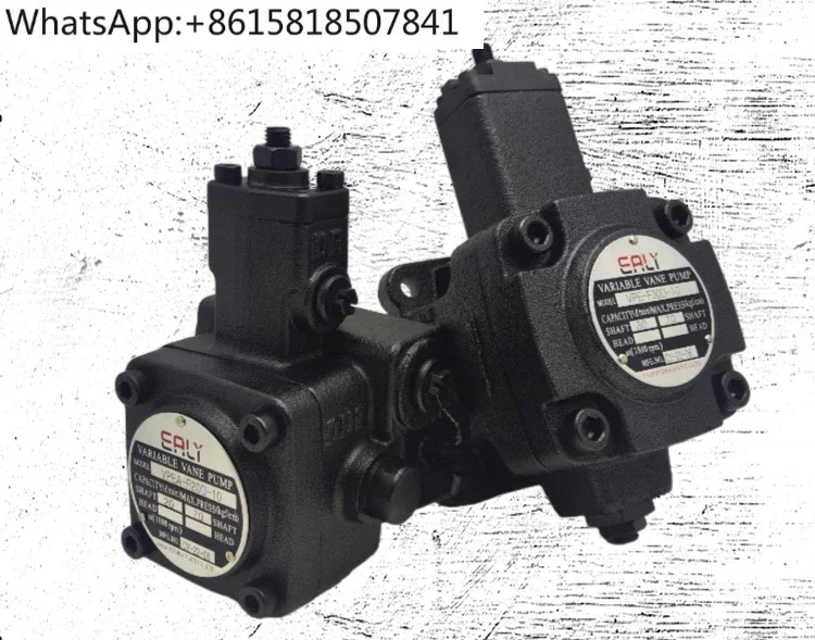 EALY VPE-F20D-10 가변 베펌프 VPE-F40D C B-10 오일 펌프 F30 F15