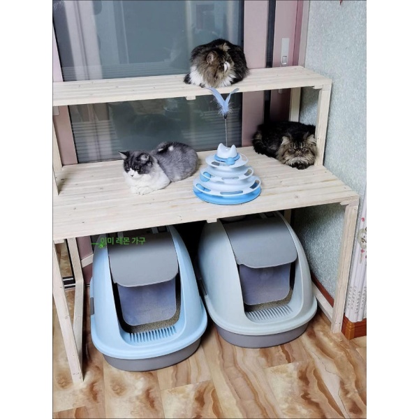 모던 고양이화장실 다이 선반 가구 캐비닛 세로 60cmx50cmx60cm 60cmx50cmx60cm - 상품 이미지