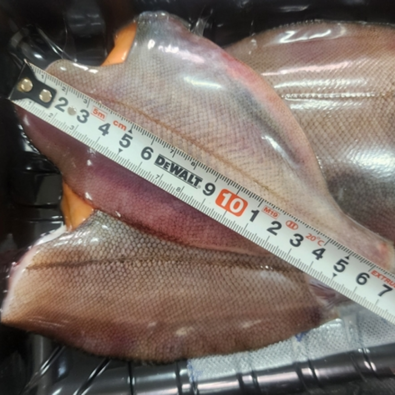 자연가득 깔끔하게 손질하여 스킨포장한 포항 100% 알가자미 550g 이미지 7