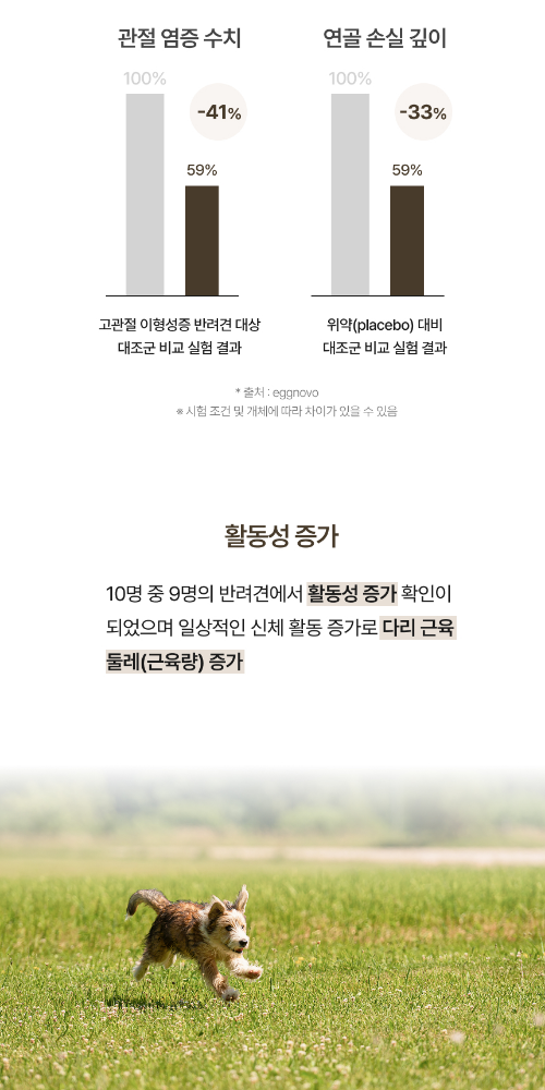메디펫케어 강아지 반려견 슬개골 관절염 미코펫 플렉스 영양제 관절건강, 120g, 1개 이미지 8