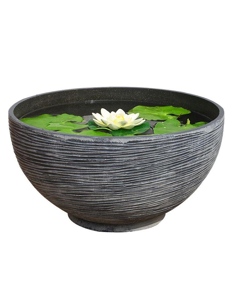 부레옥잠 키우기 수중 수생 소형 수경화 물에서키우는식물 블랙 소형 지름35cm 10x10x10cm - 상품 이미지