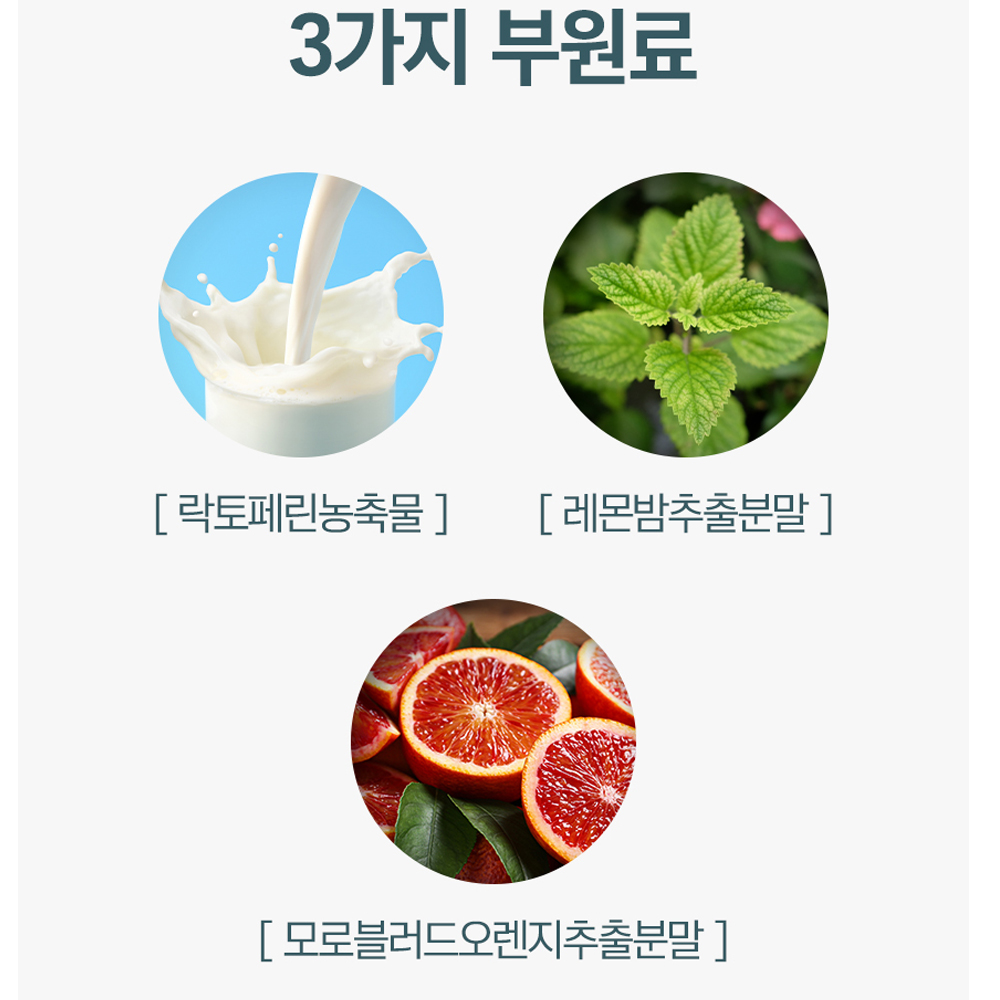 양춘사 바나바잎 추출물 양춘사 분말 바나바 가루 정 이미지 8