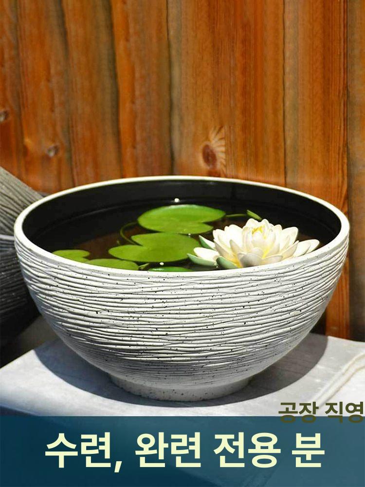 부레옥잠 키우기 수중 수생 소형 수경화 물에서키우는식물 블랙 소형 지름35cm 10x10x10cm - 상세 이미지 2