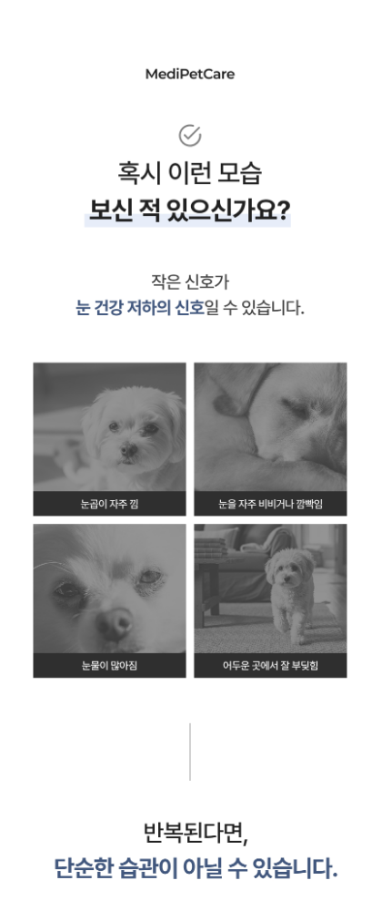 메디펫케어 강아지 반려견 눈물자국 루테인 미코펫 비전 영양제 눈건강, 120g, 2개 이미지 7