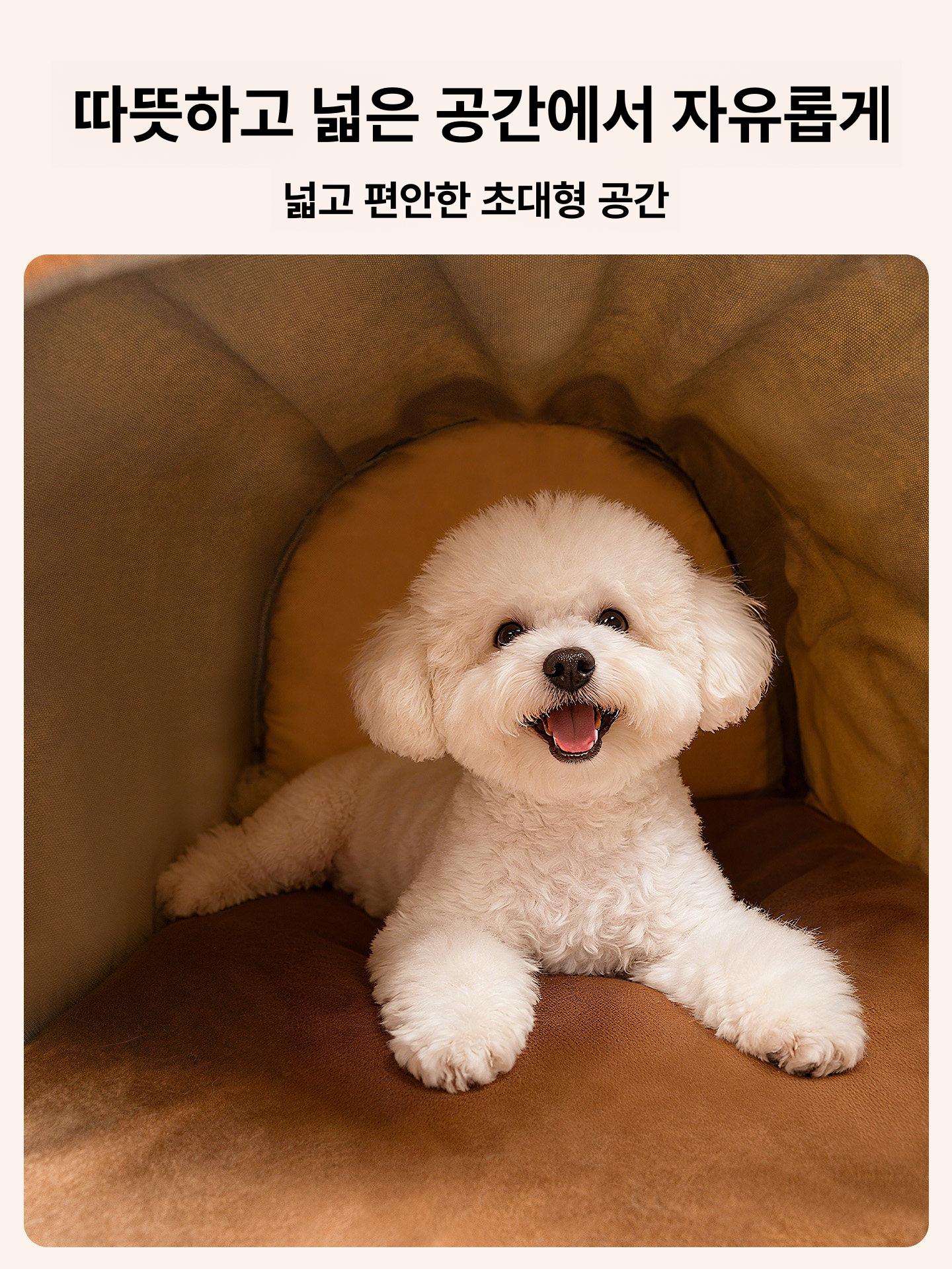펫가구 견사 강아지집 개집 특대형 하우스 예쁜 원목 애견 애견하우스 펫 - 상세 이미지 3