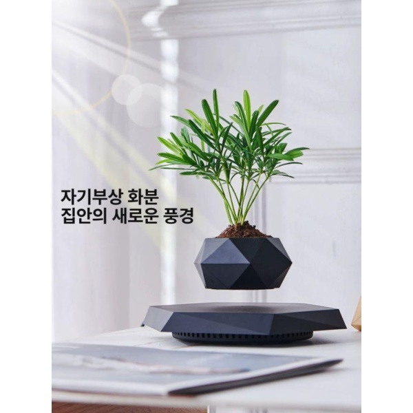 신개념 공중부양 화분 자기부상 부상 사무실 행잉플랜트 원목색 A 원목색 화분 A - 상세 이미지 3