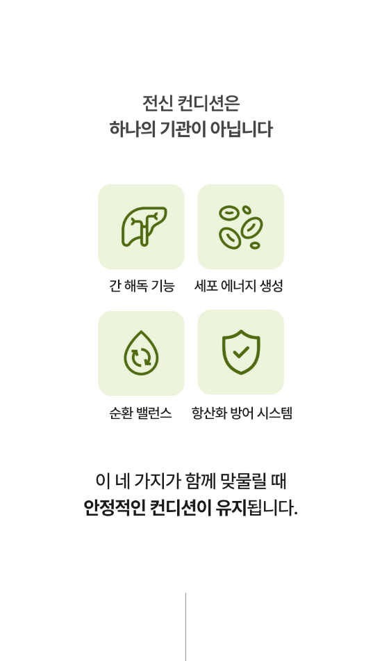 메디펫케어 강아지 면역 장건강 기관지 미코펫 밸런스 영양제 종합영양제, 120g, 1개 이미지 8